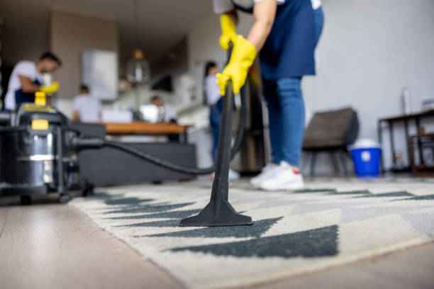 The Ultimate Guide to the Best Rug Cleaning Services for Homes |  Larsson Services LLC