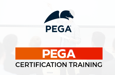 Training and Certification Opportunities